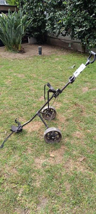 Trolley de duas rodas manual de golfe