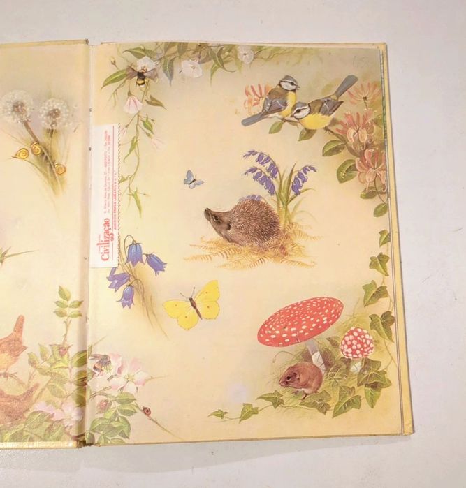 O esquilo, Colecção Vida Animal