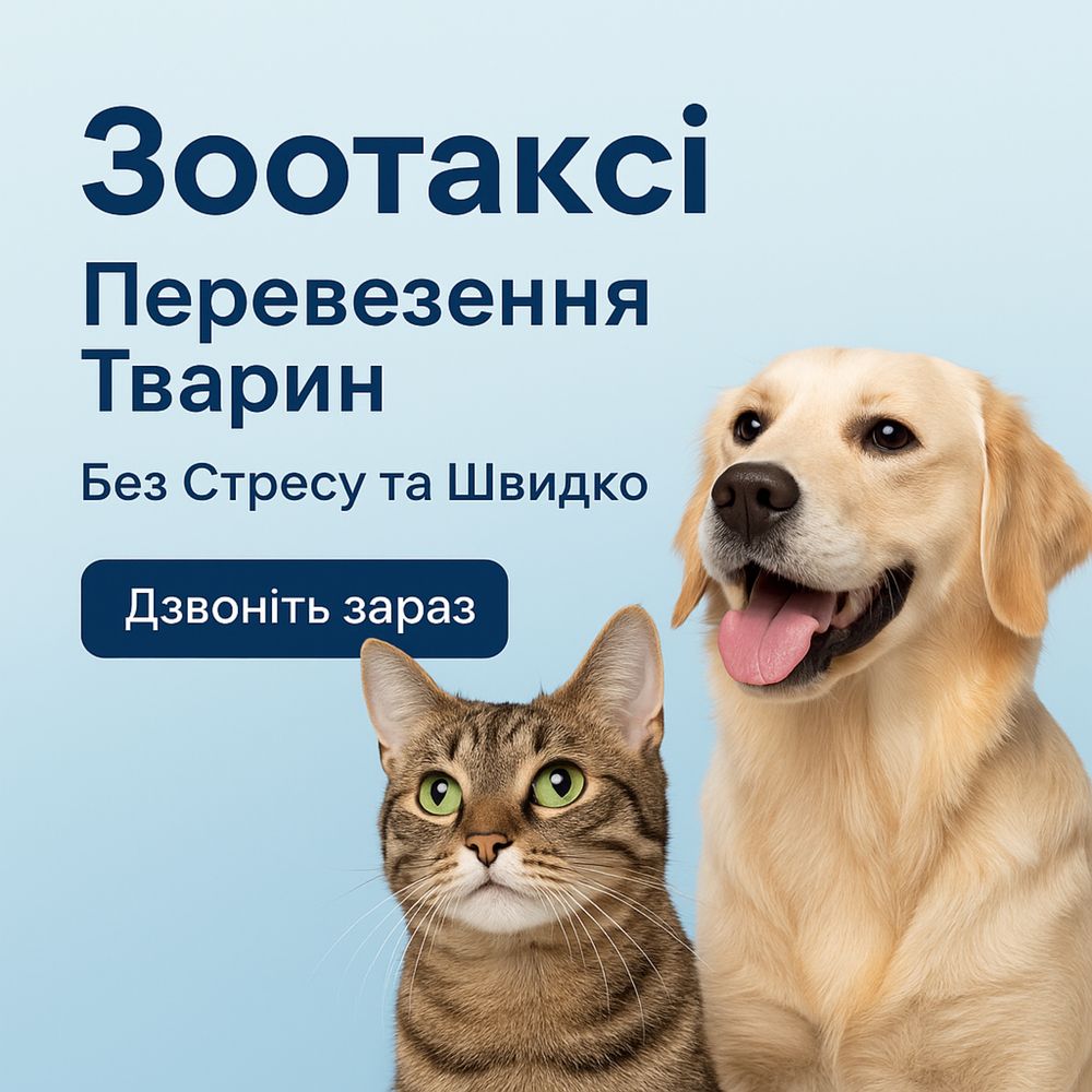 Перевезення тварин котів собак зоотаксі перевозка живоных котов собак