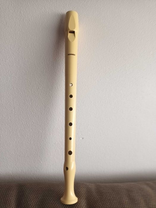 Hohner Recorder64284807989378122