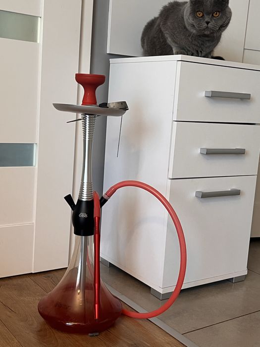 Shisha / Fajka wodna