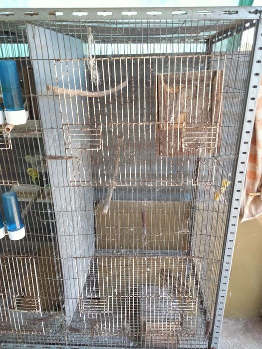 Viveiro para aves com rodas