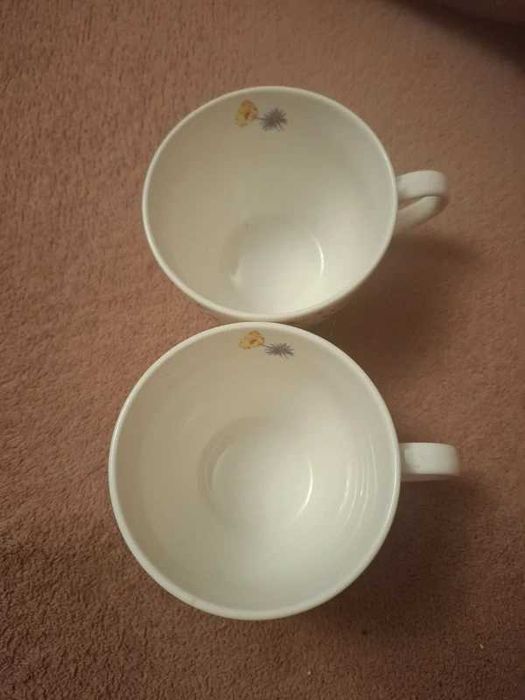 Dwie filiżanki Wild Bird