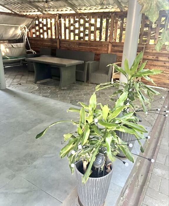 Оренда 1/2 будинку