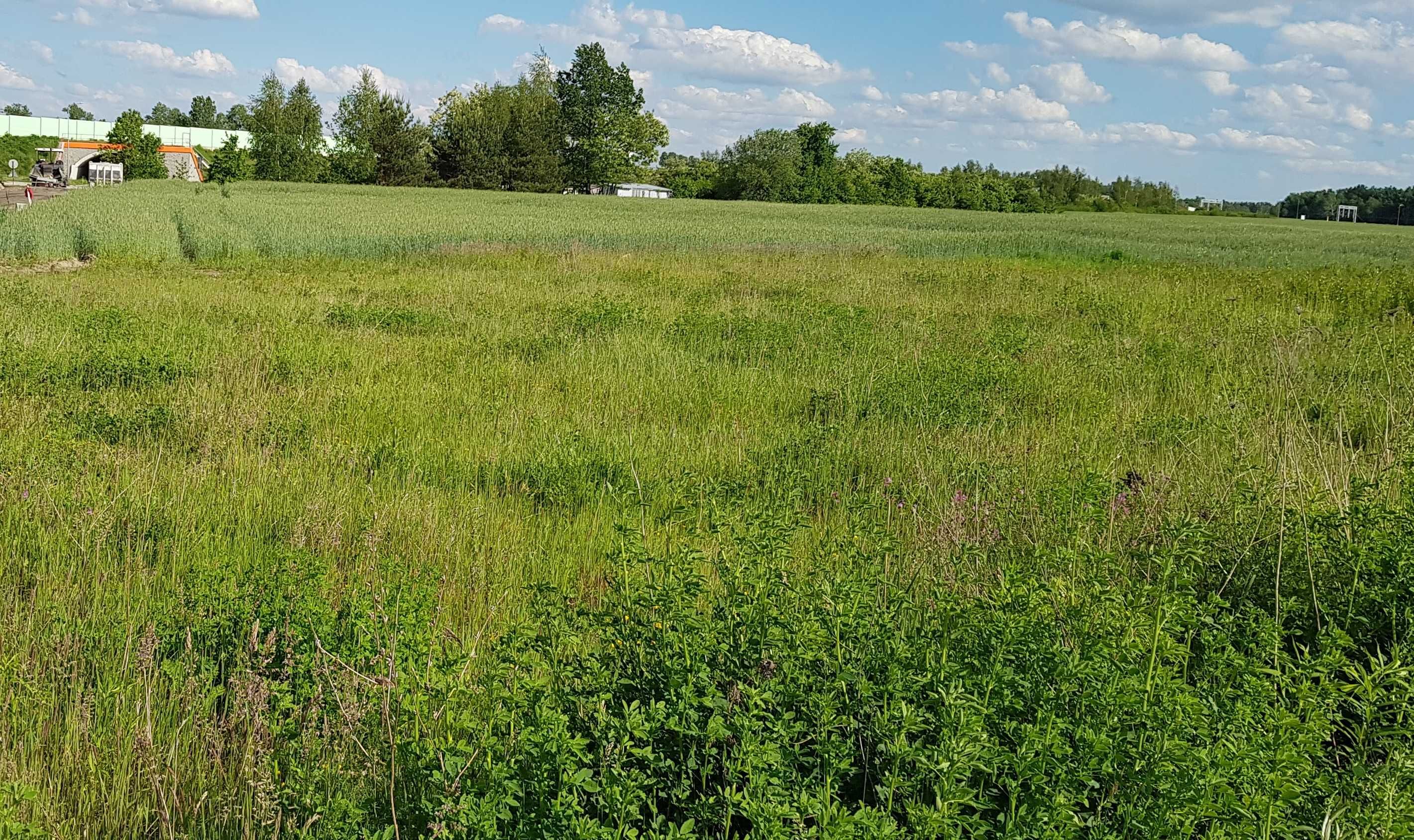 Działka budowlana 860 m2, Młodocin Większy