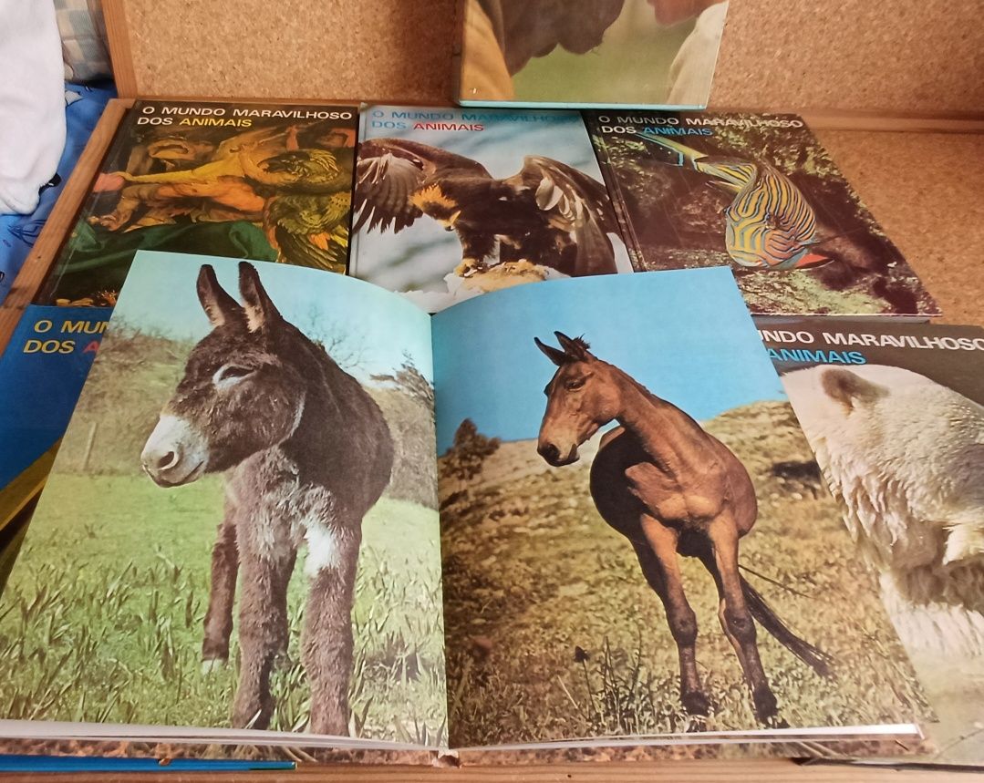 Livros "O Mundo Maravilhoso dos Animais". Anos 70.