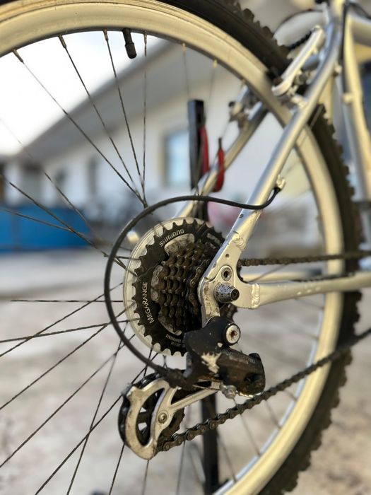 Bicicleta da Boss