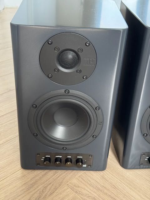 Monitory studyjne Nubert nuPro A-20