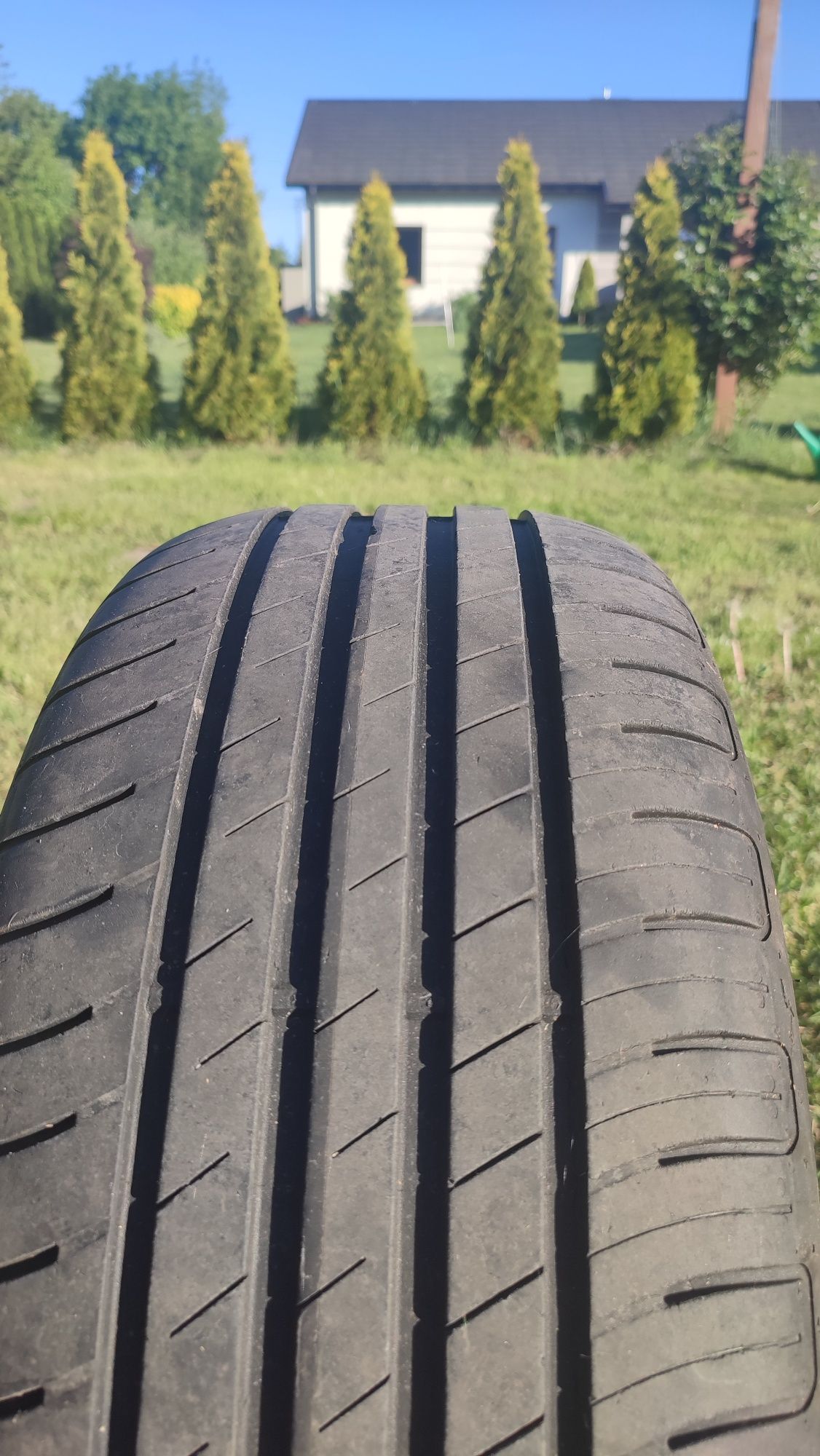 Goodyear efficientgrip performance 225.50 r17 94w