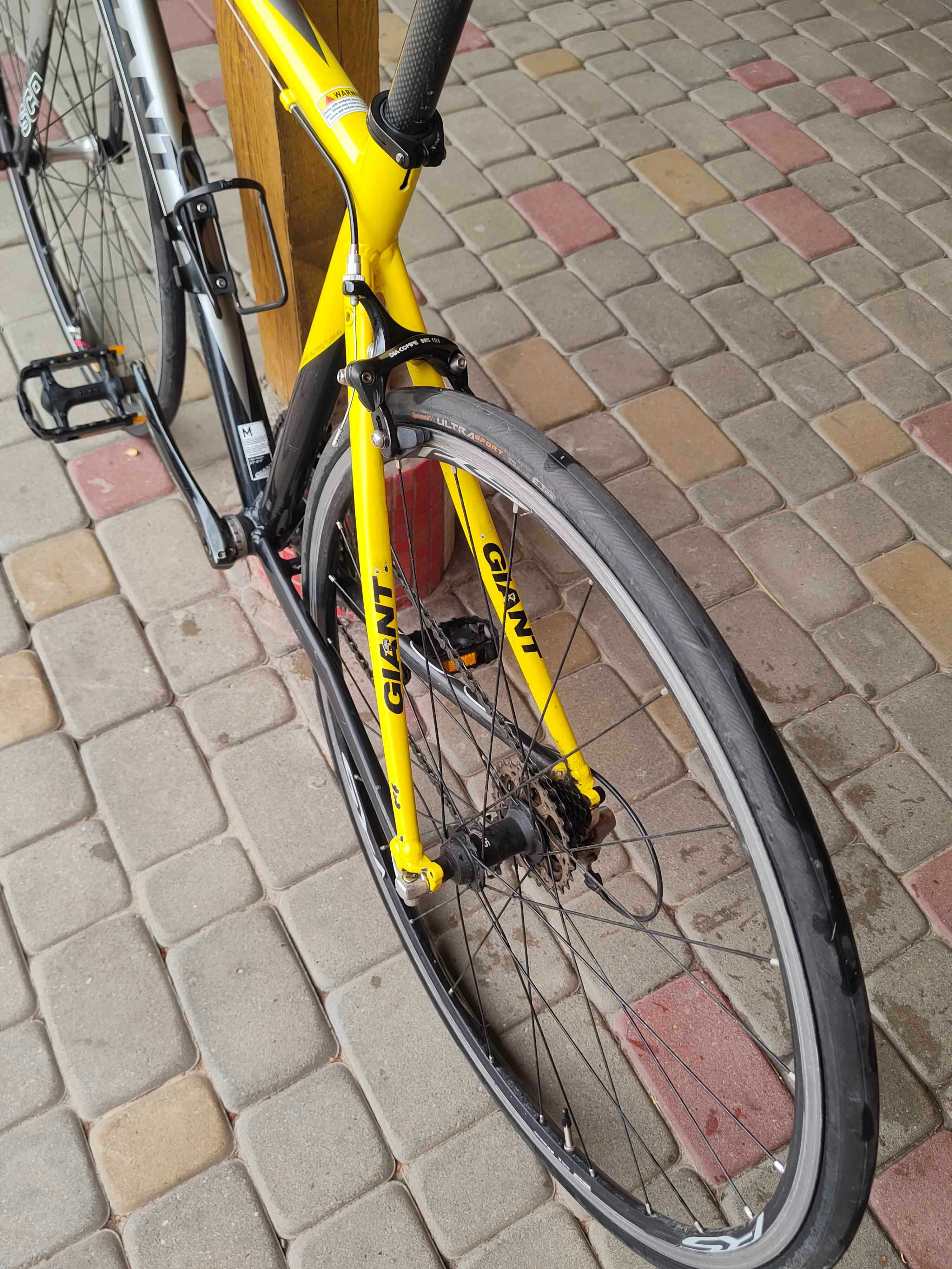 Rower szosowy Giant SCR 1 - lekki, szybki, idealny na asfalt!