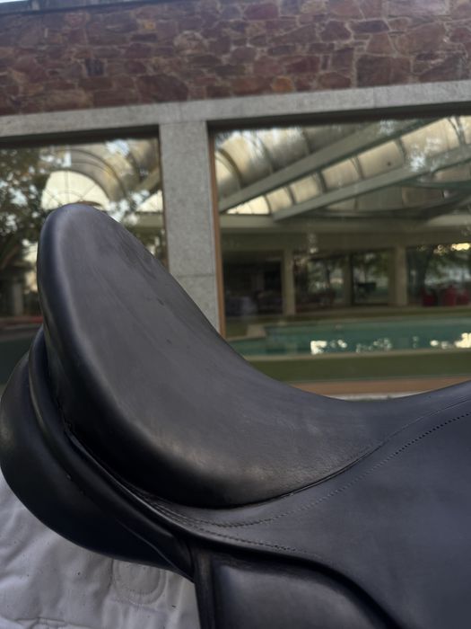 Sela de Ensino Kieffer Wien DL Profissionell 17”/17.5”