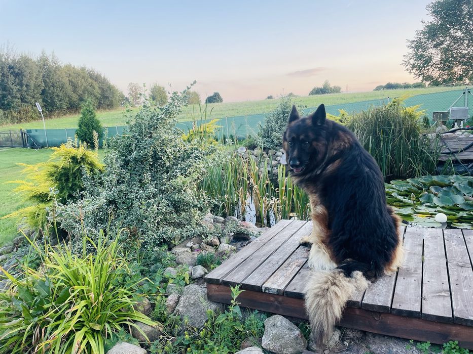 DoMeL bEz AdReSu i SąSiAdóW