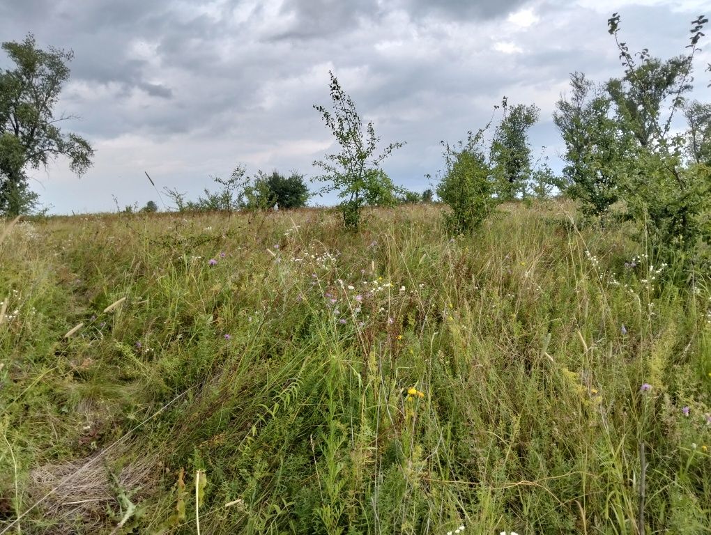 Участок Погреби масив Заозірє