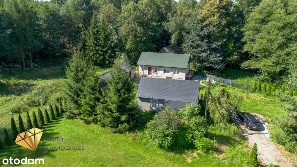 Dwa domy przy rzece i lesie