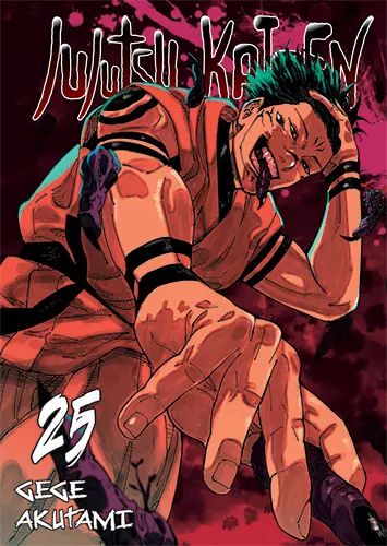 Jujutsu Kaisen. Tom 25. Waneko