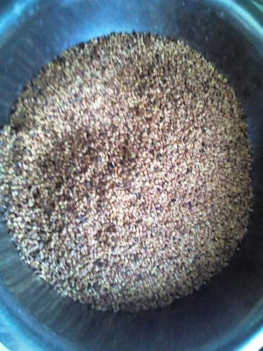 Семена Шиповник обычный ( КОРМ ) шипшина