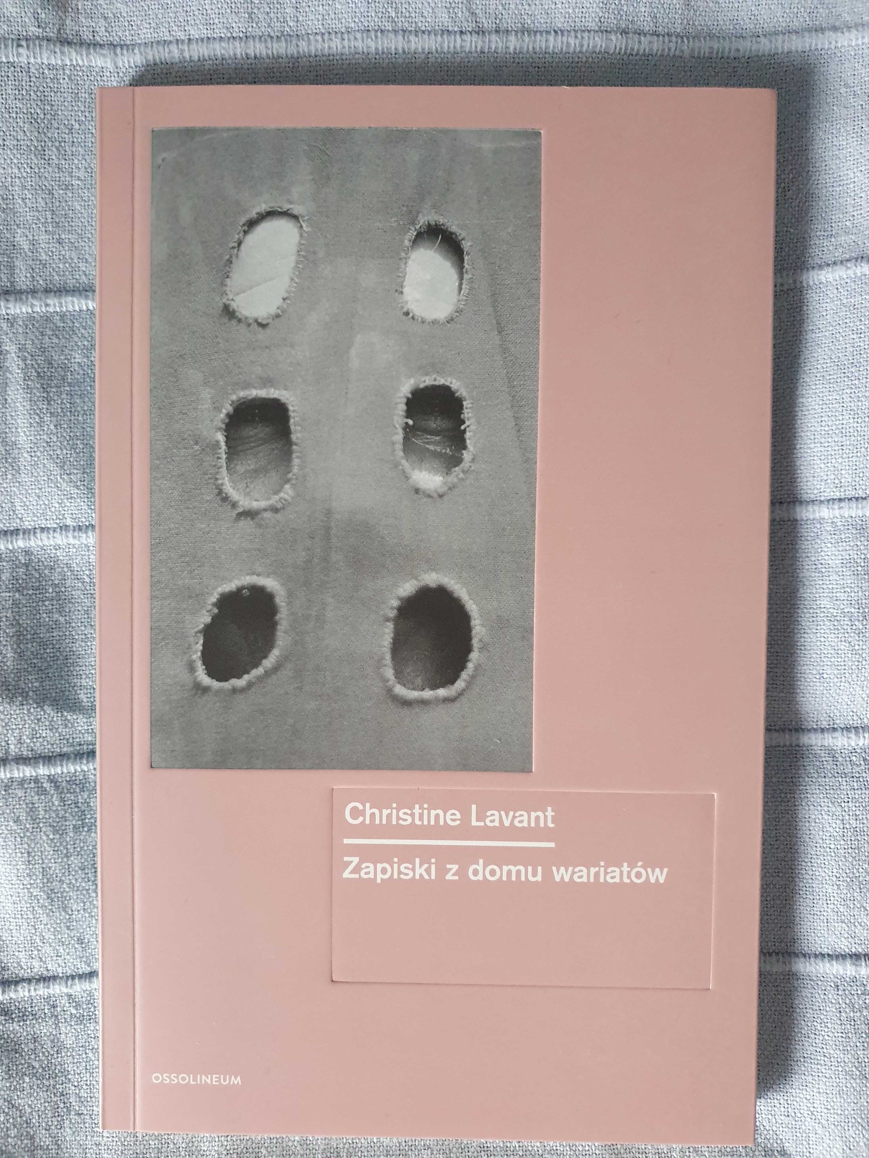 Christine Lavant, Zapiski z domu wariatów