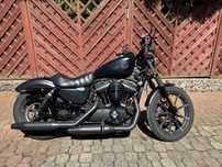 HARLEY-DAVIDSON Iron XL883 rok 2021