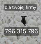 Sprzedam numer telefonu firmie łatwy do zapamiętania w opisie nr