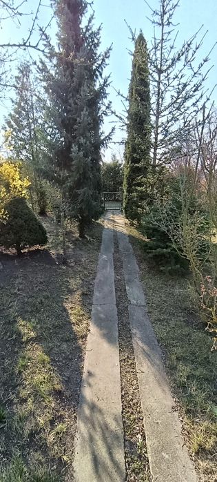 Działka Rod-duża.Okazja!