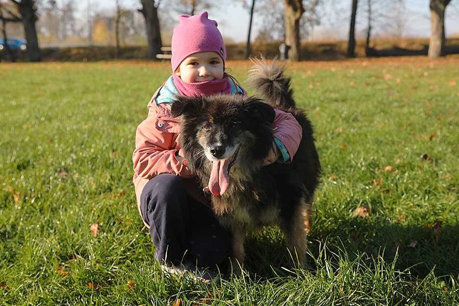 KAJTEK - starszy, 13kg, łagodny. [FILMIKI]