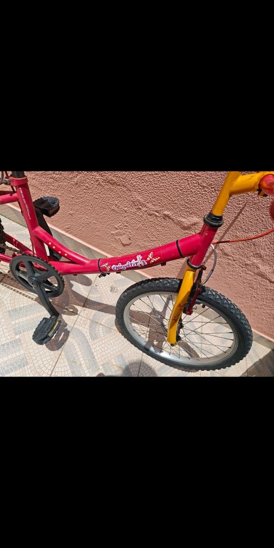 Bicicleta de roda 20