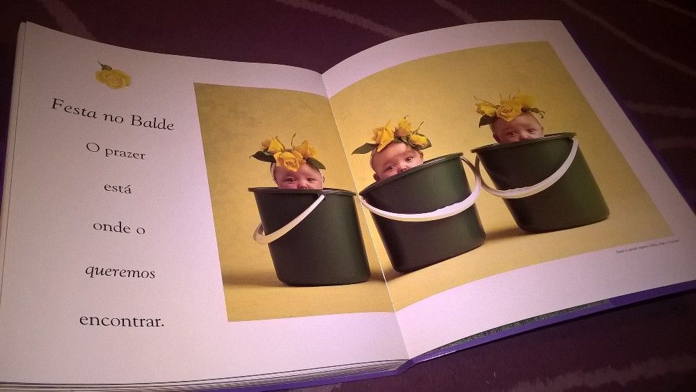 Livro Bébés O Jardim encantado - Anne Geddes