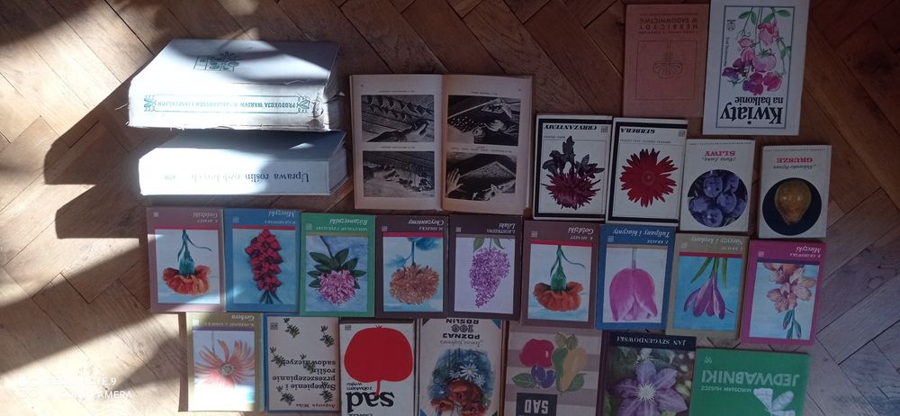 Ogrodnictwo kwiaciarstwo warzywnictwo