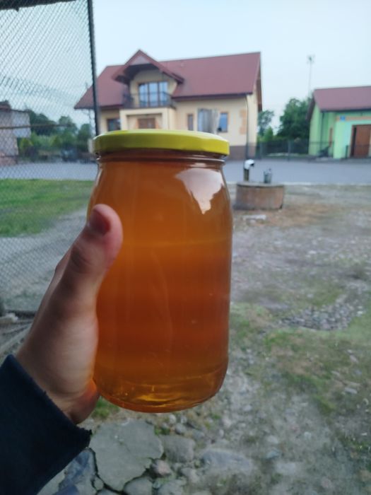 Miód sprzedam miód