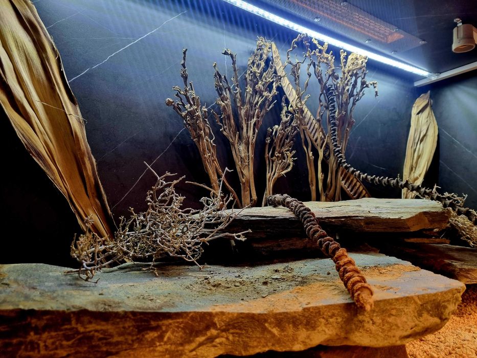 Terrarium 120x60x60 dla agamy gekona legwana jaszczurki węża żółwia