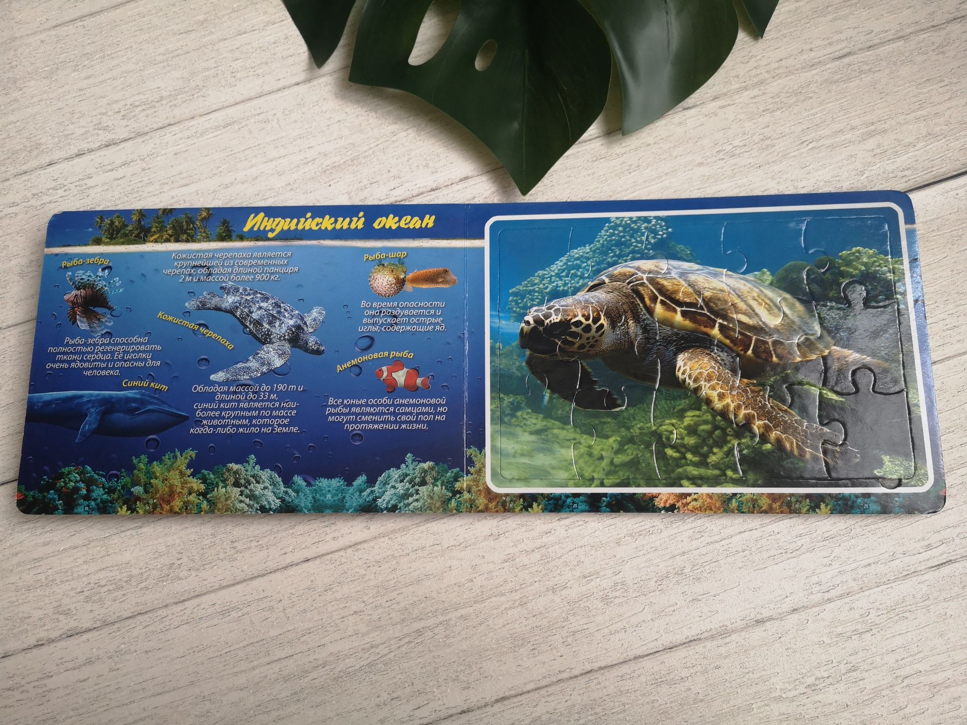 Книга - паззл з тваринами підводного світу