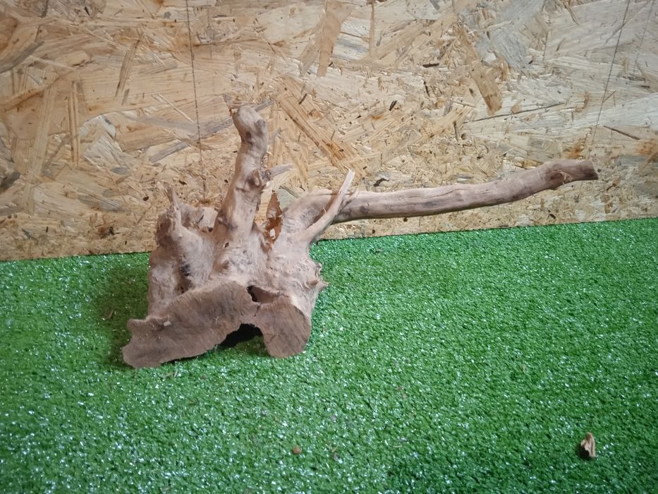 Korzeń do akwarium Red Moore Wood nr 209 o wymiarach 37/17/17