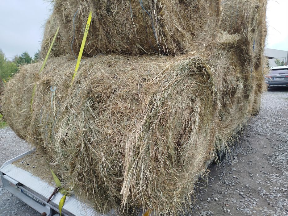 Siano baloty transport