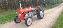 Massey Ferguson TEF-20  Massey Ferguson Tef-20 stan 1954r,dokumenty 4 cylindry diesel igła zo