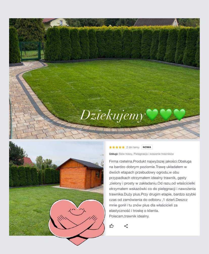 Trawa w rolce, trawnik z rolki 1 gatunek