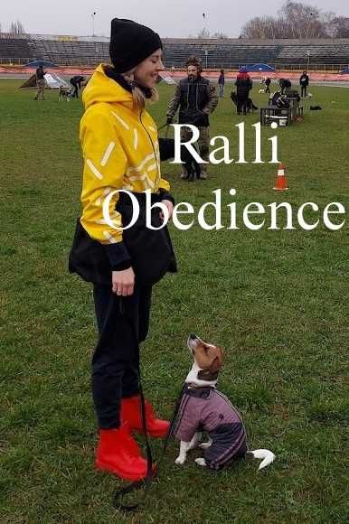 Дресирування собак. Клуб РОКСС. Заняття з інструктором-кінологом.