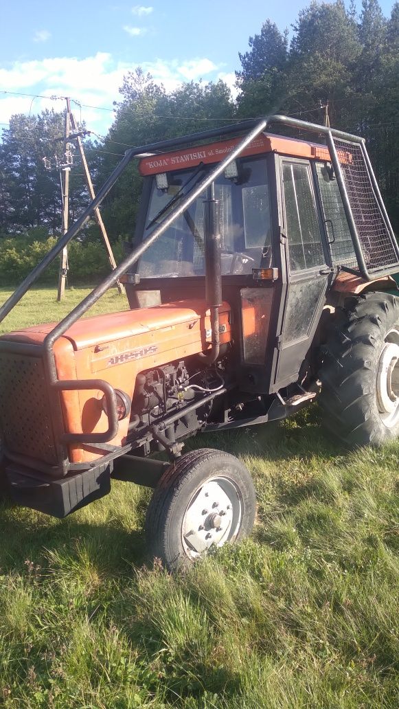 Ursus c360 zabudowa leśna