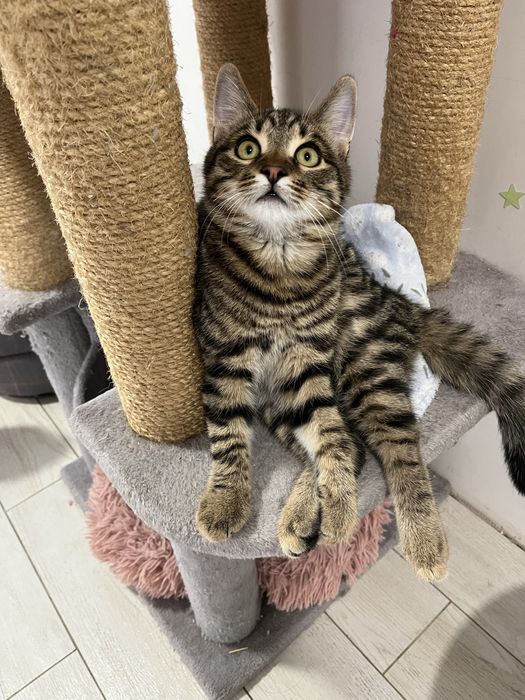 Мальчик 5 мес привит