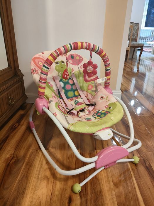 Bujaczek Zielona Żabka