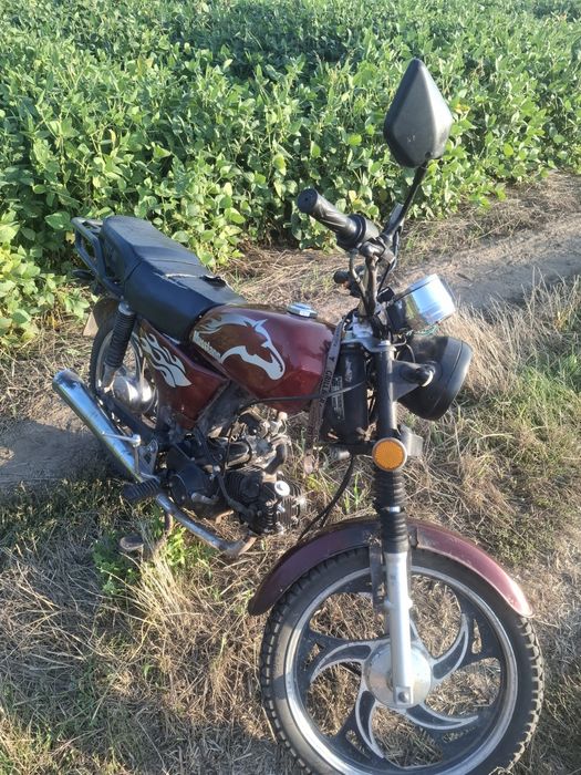 Мустанг-Альфа 125