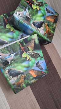 Editions Atlas - Zbiór Ptaków 3 Segregatory Kompletne w idealnym stan