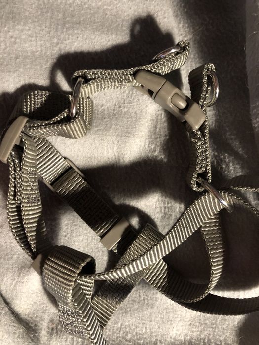 Trelas de 1,2mt e arnez /cão porte médio +10kg