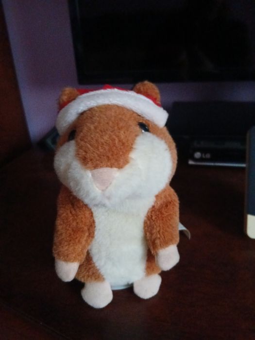 Продам хом'ячка.