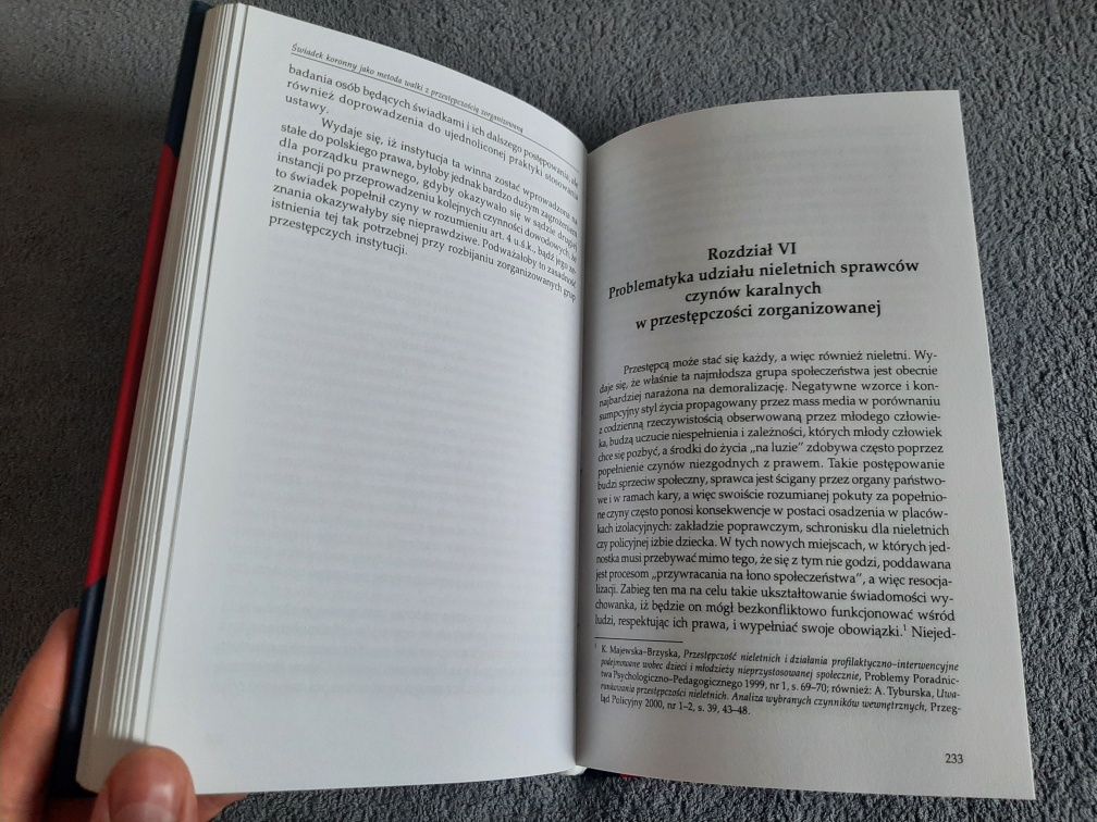 Przestępczość zorganizowana w Polsce i jej zwalczanie Zbigniew Rau