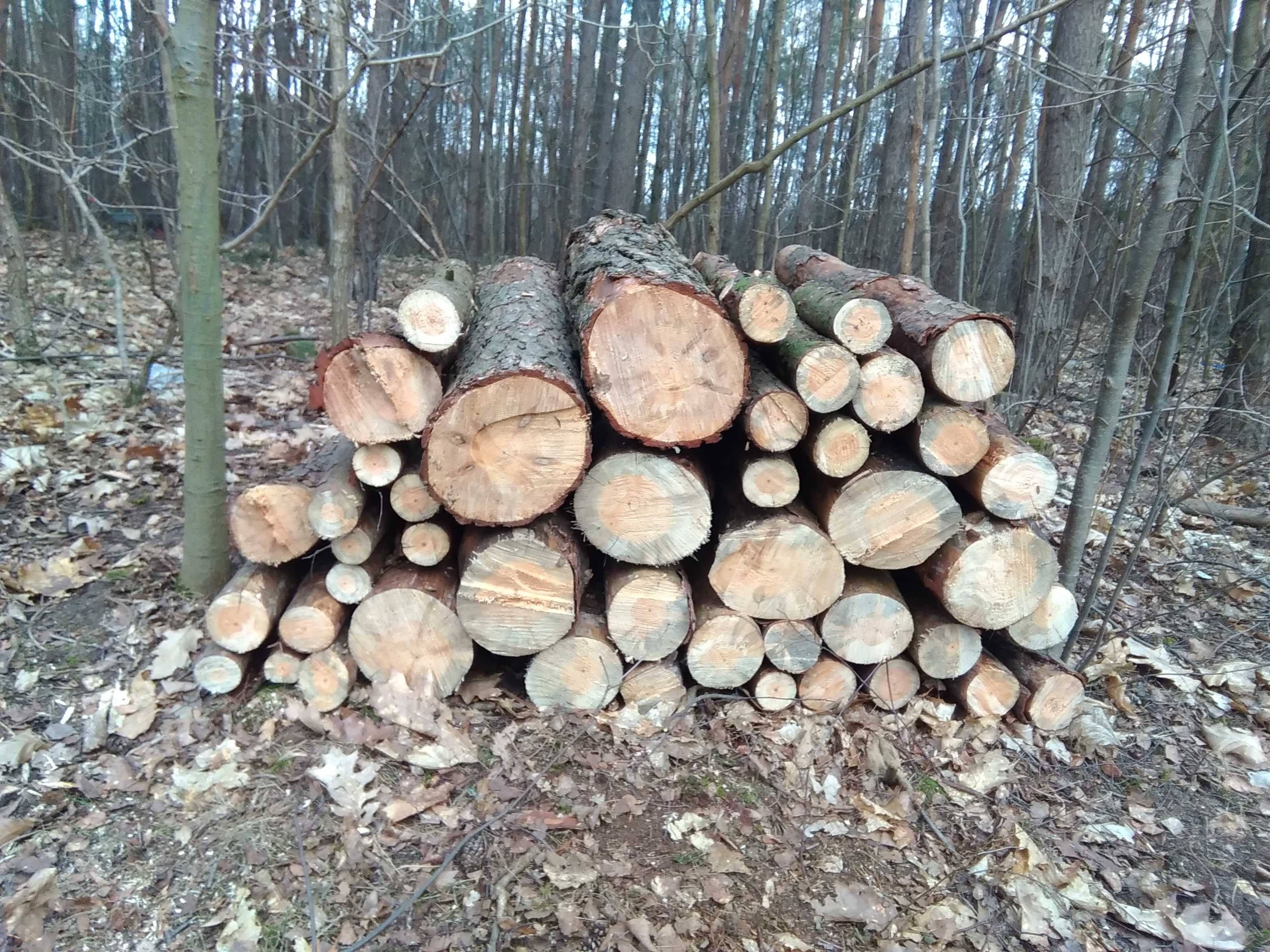 drewno opałowe, sosna/osika