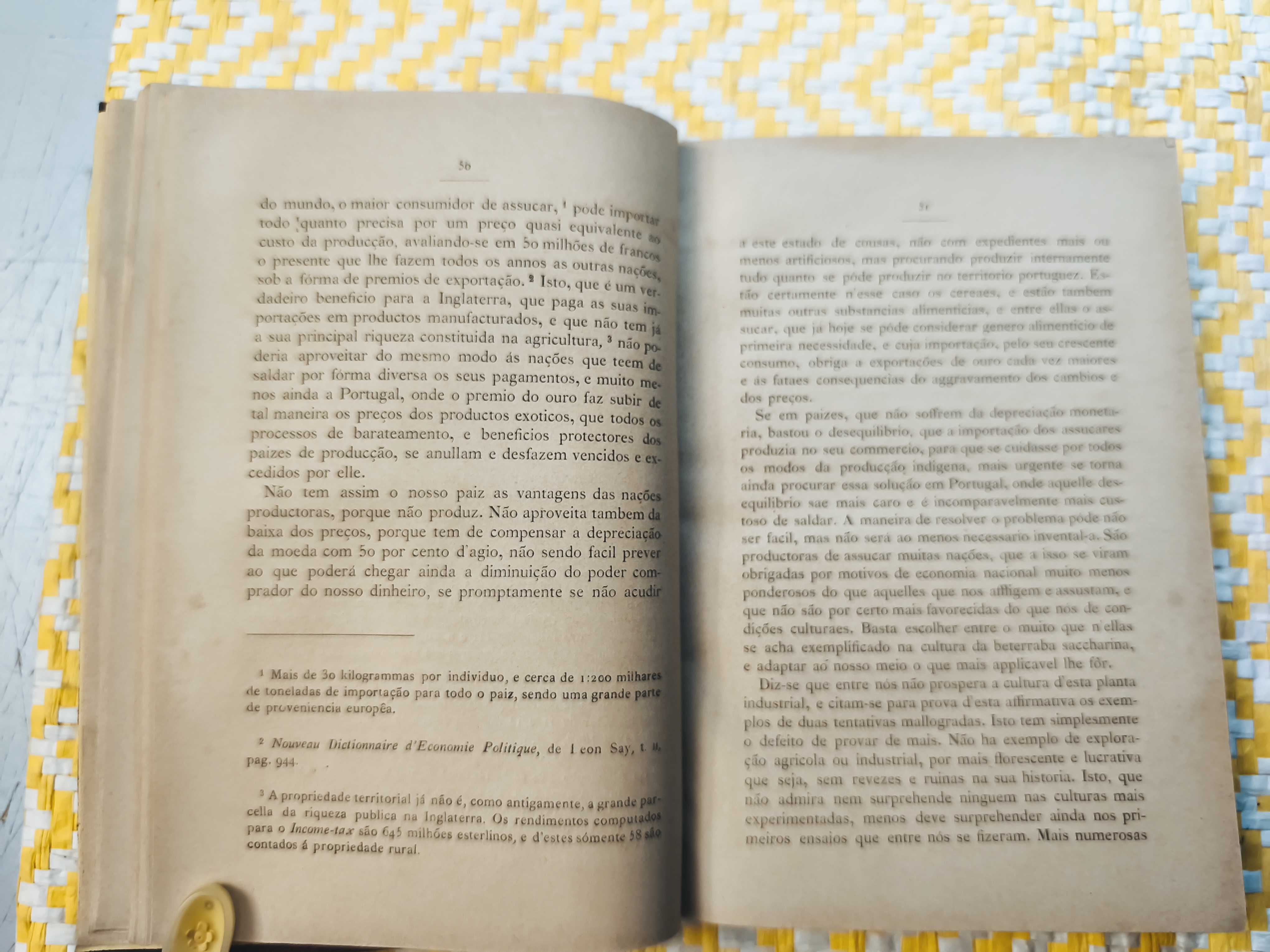 A Terra –
 Anselmo de Andrade