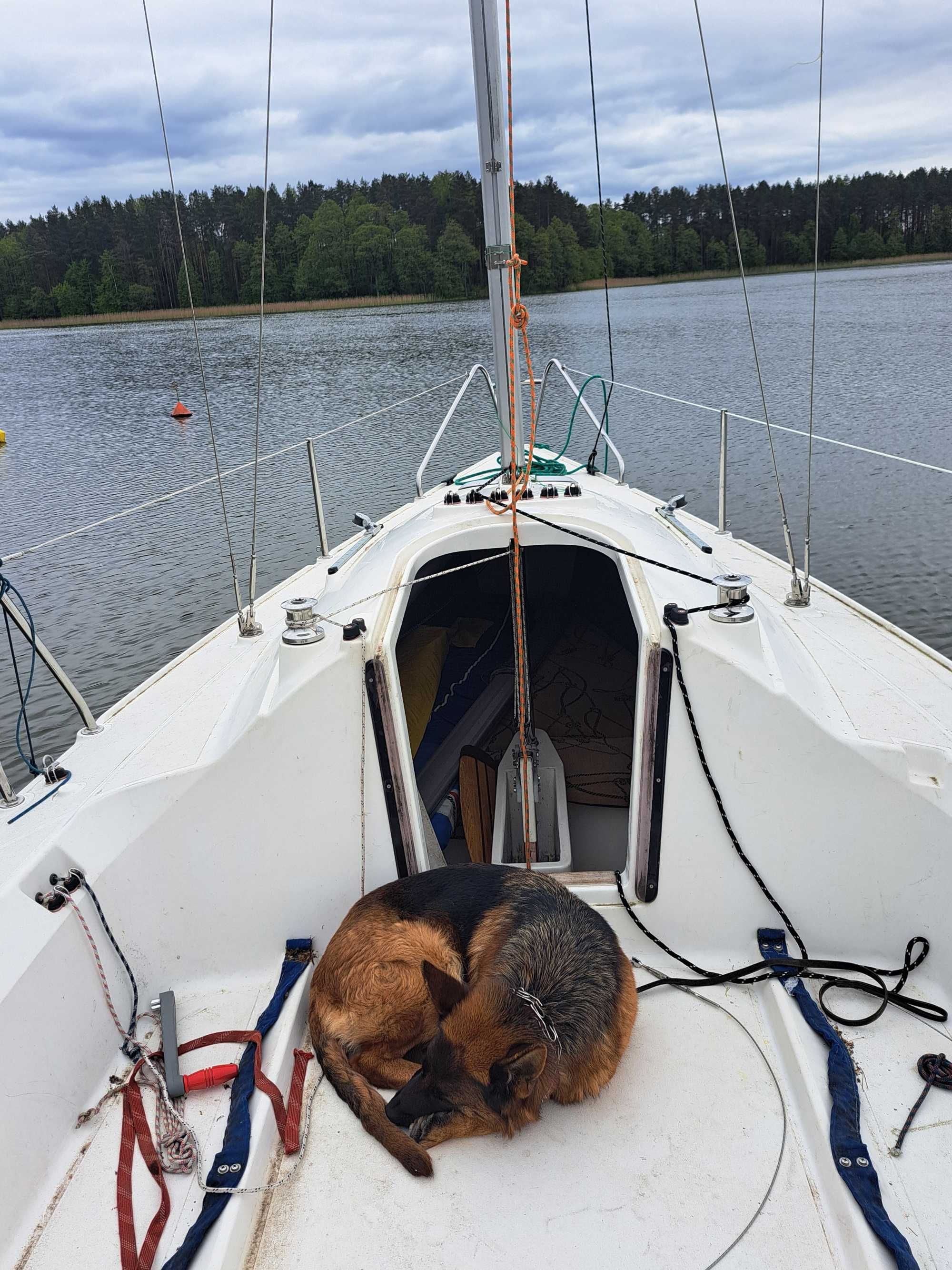 Jacht Majestic 24 regatowo-turystyczny