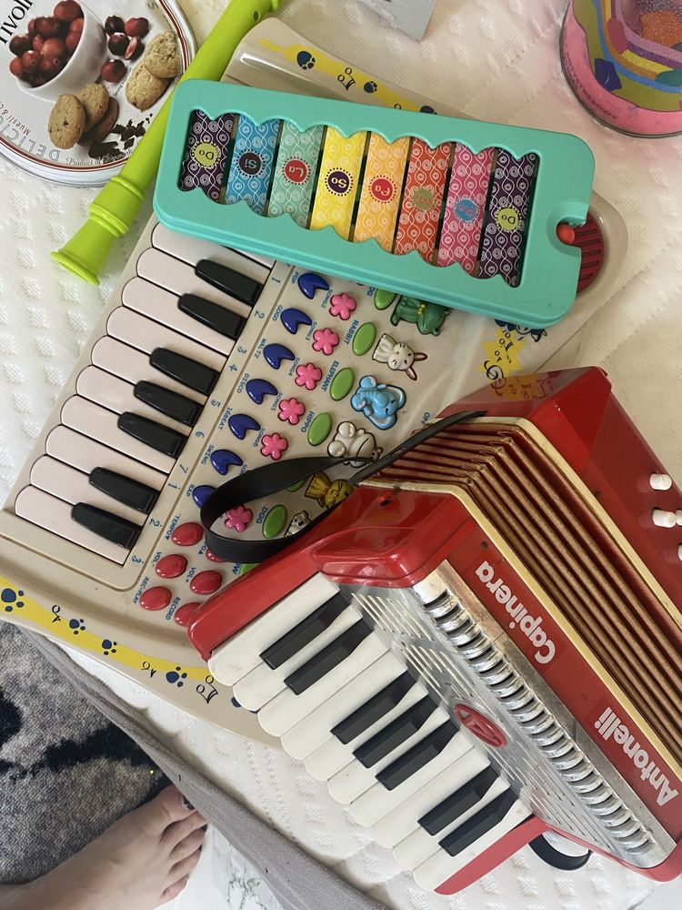 Instrumenty muzyczne acorfeon flet cymbałki elektryczny kyborf