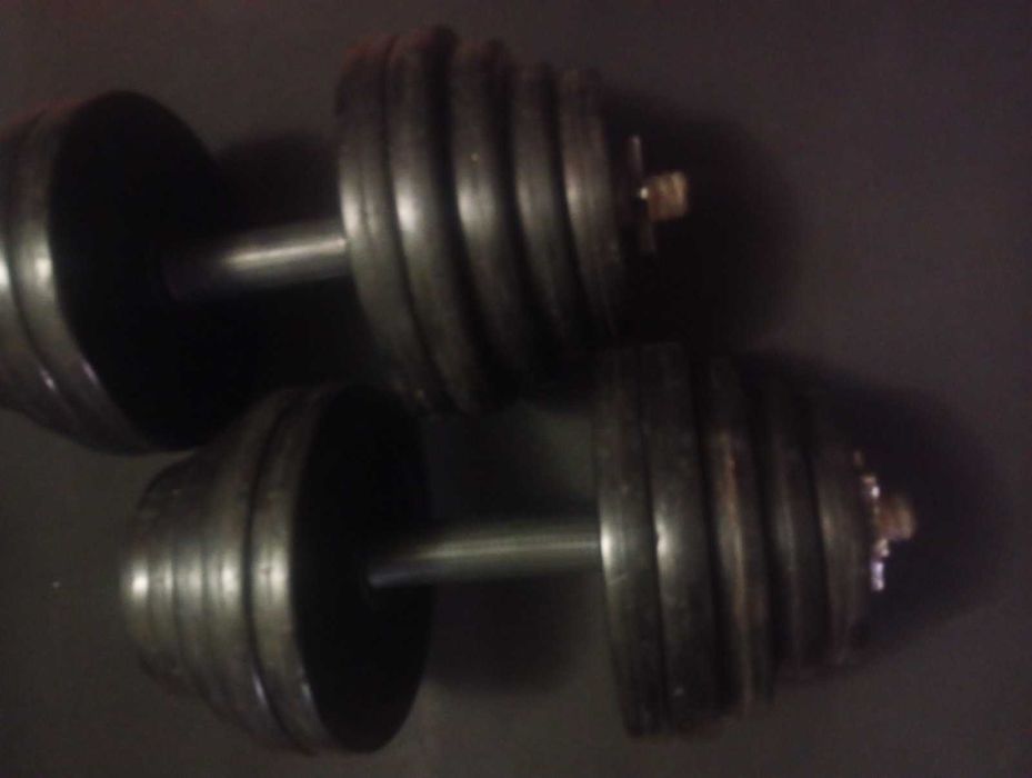 Гантели 2 шт по 20 кг (40 кг) каждая, металлические, с покрытием