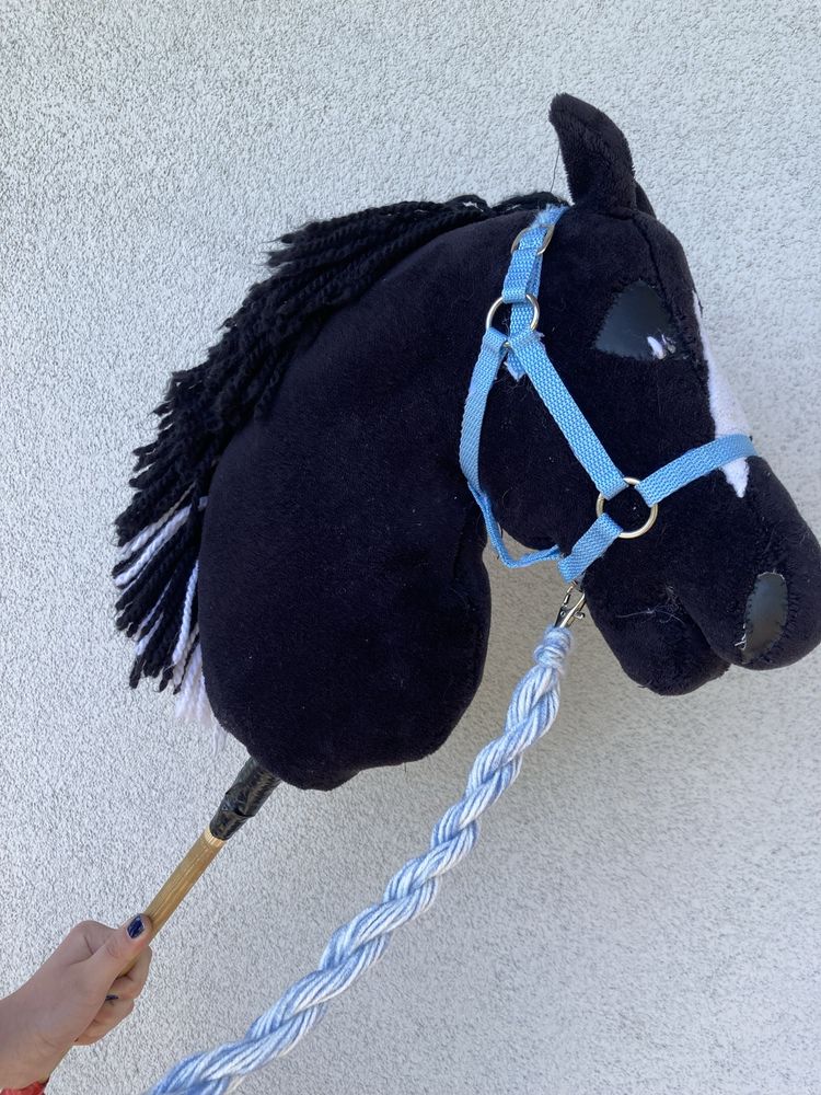 Hobby horse kary